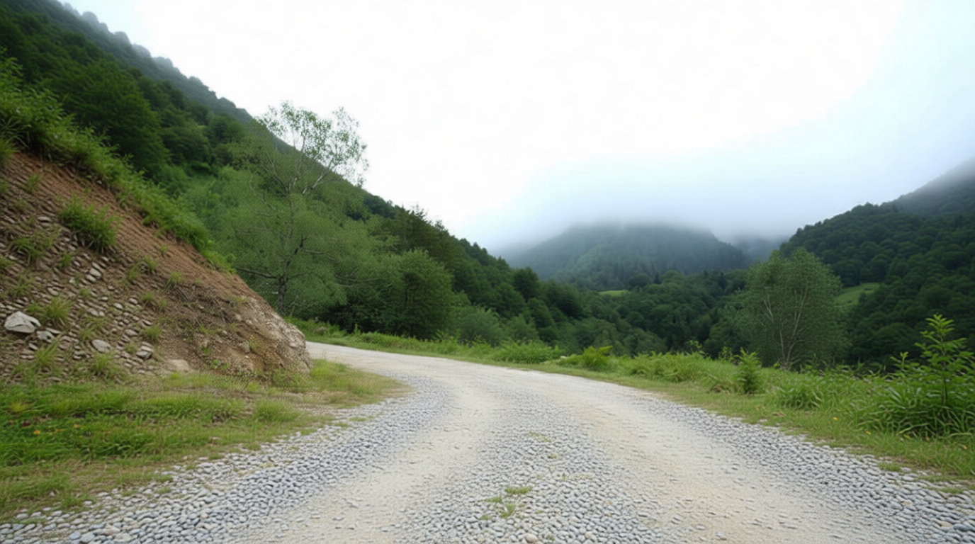 N° 02. Réservation et accès au parking du col de Lasserre