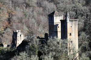 Château abandonné en France : entre péril et renaissance
