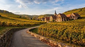 La route vins alsace : itinéraire et escales de charme.
