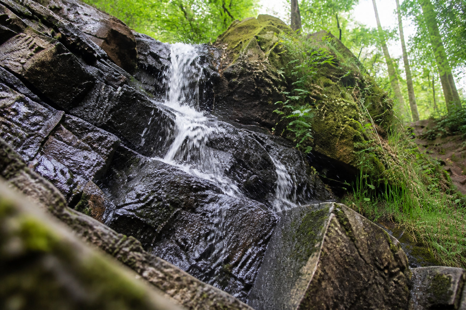 Visite en forêt de Brocéliande : combien de temps prévoir