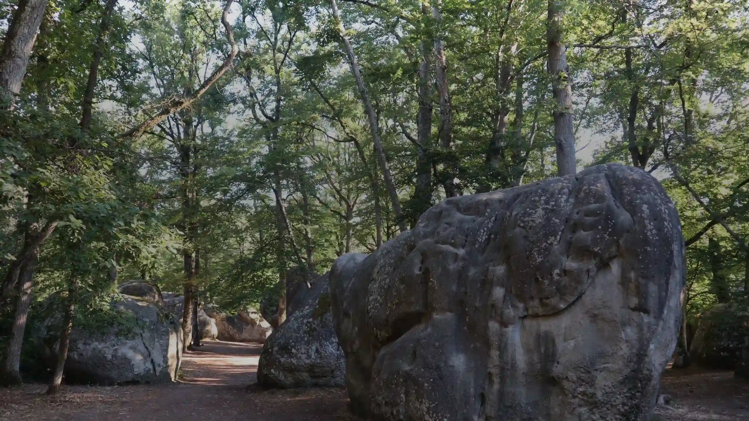 Randonnée à Fontainebleau : circuits, gares et balisage