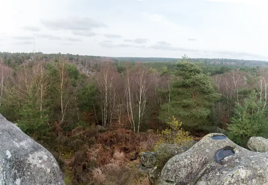Vue sur les gorges d'Apremont depuis un bloc de grès, forêt de Fontainebleau