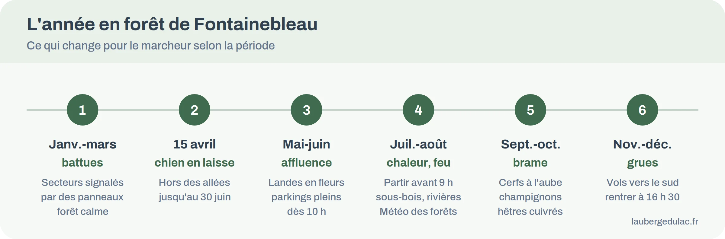 Frise des saisons en forêt de Fontainebleau avec chasse, chiens en laisse, chaleur, brame et grues