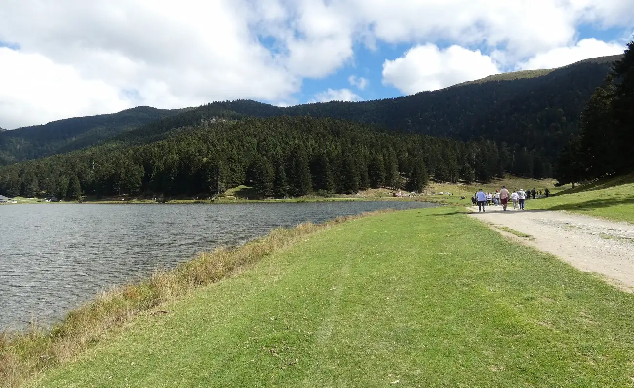 Chemin herbeux qui longe la rive du lac de Payolle, sapinière et montagnes en arrière-plan
