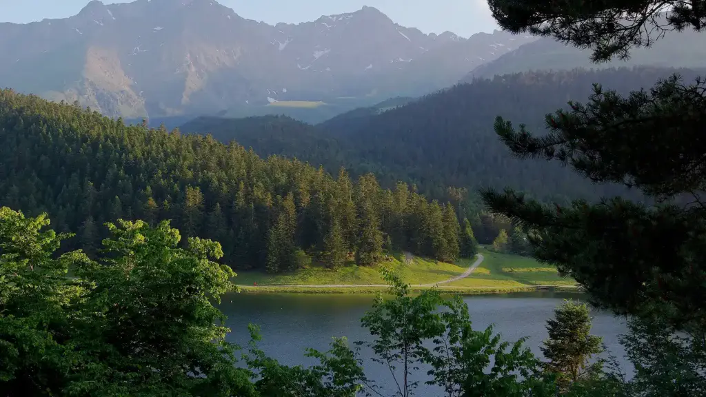 Lac de Payolle entre sapinière et montagnes des Hautes-Pyrénées