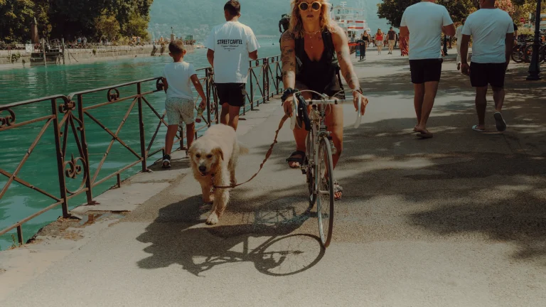 Tour du lac d&rsquo;Annecy à vélo : 40 km, sens et chantier 2026