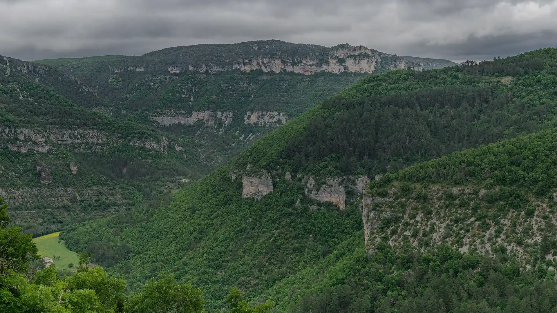 Gorges boisées du Causse Noir