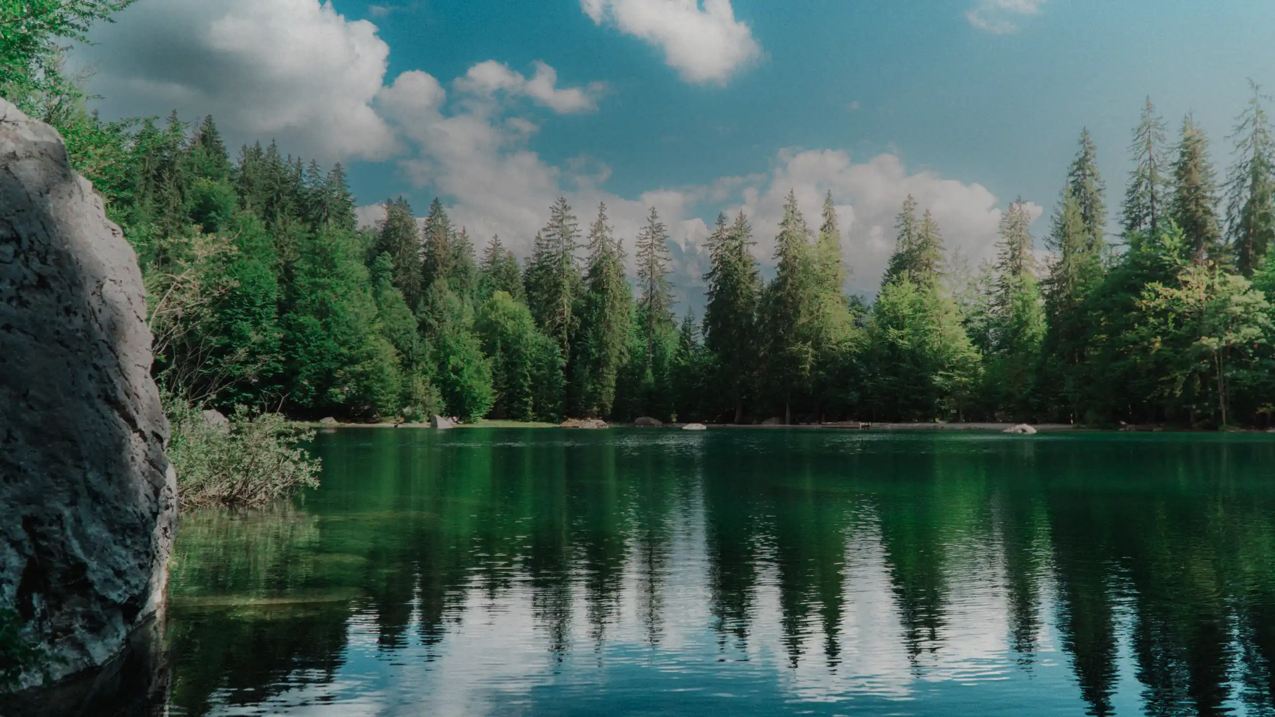 Lac de montagne entouré de sapins