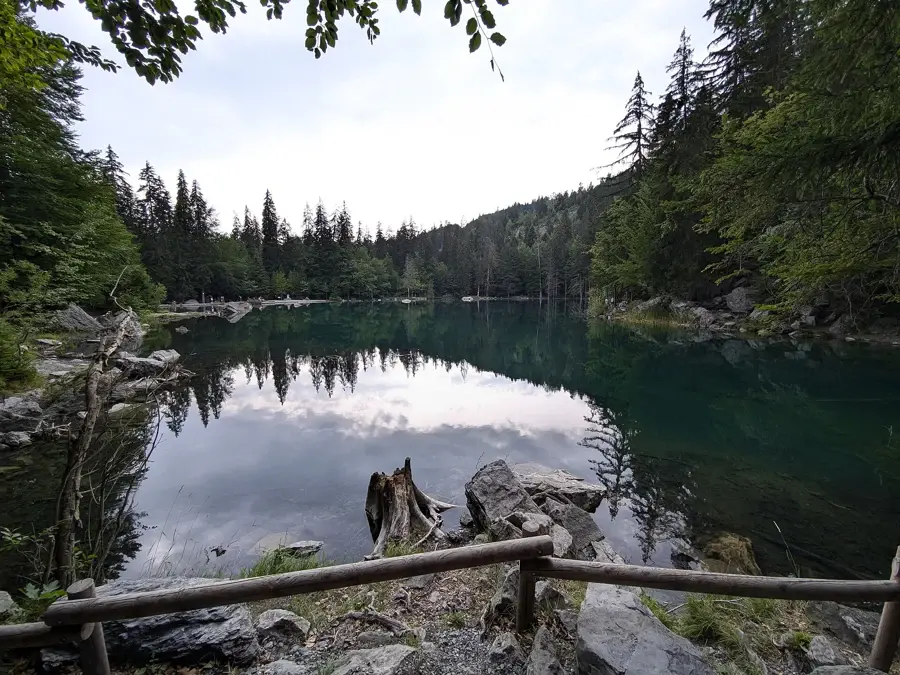 Le lac Vert de Passy depuis la rive est, avec ses eaux vert foncé bordées de conifères et une barrière en bois